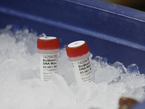 В России штамм гриппа А/H1N1 направлен в государственную коллекцию вирусов