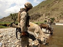 США отправят в Афганистан дополнительные войска
