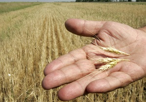 Метеорологи значительно повысили прогноз урожая зерновых в Украине