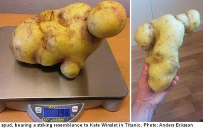 У Швеції знайшли картоплину, схожу на Кейт Уїнслет в Титаніку