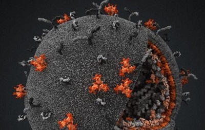 Ученые рассмотрели  якорь  вируса иммунодефицита человека