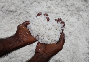 Медики призывают ООН ограничить потребление соли в мире