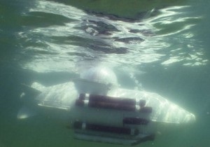 Изобретатель из Одессы сконструировал самую маленькую в Украине подводную лодку