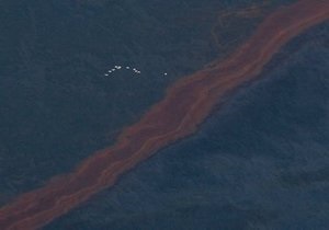 Нефтяное пятно достигло побережья Луизианы. Губернатор штата просит помощи у Пентагона