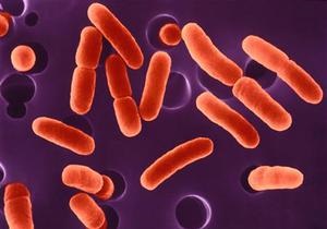 Египет опроверг версию Евросоюза о происхождении инфекции E.coli