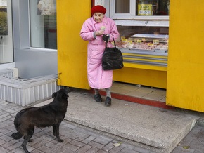 Киевские власти не могут решить вопрос стерилизации бездомных животных из-за кризиса