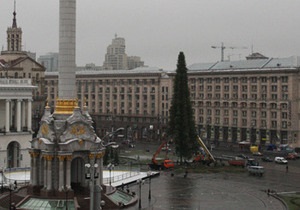 В центре Киева установили новогоднюю елку