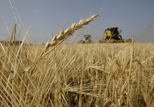 Грузия закупит у Украины 120 тыс тонн продовольственной пшеницы