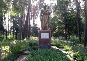 Под Киевом в Ирпене вокруг братской могилы желают выстроить личные коттеджи
