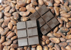 Регулярное употребление какао может предотвратить проблемы с памятью  в старости