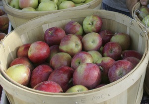 Украина выходит на четвертое место в мире по производству яблок