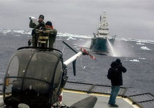 Экологи вынудили Японию приостановить промысел китов в Антарктике