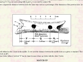 Ученые: Музыка в Европе появилась 35 тысяч лет назад