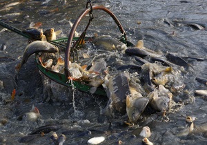 Паразиты речной рыбы могут спровоцировать рак печени - ученые