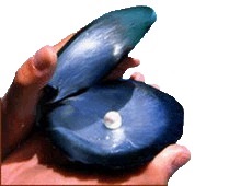 Отдых в Сочи