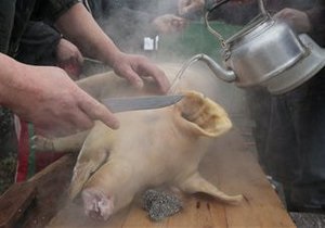 Праздник свиньи в Миргороде пройдет, несмотря на протесты вегетарианцев