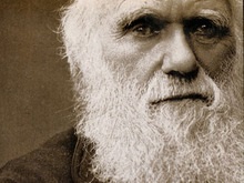 В США обнародованы имена лауреатов премии Дарвина