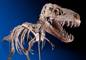 США вернули Монголии скелет динозавра