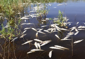 В лиманах на юге Украины из-за жары массово гибнет рыба
