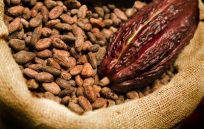 Світові ціни на какао падають, на тлі низької якості продукції