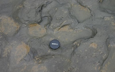В Британии обнаружили следы людей, живших 800 тысяч лет назад