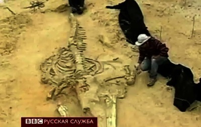 Тайна чилийского кладбища китов разгадана? - BBC
