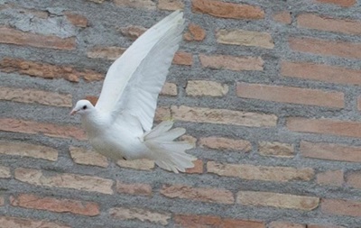 В Запорожье в небо выпустят голубей мира