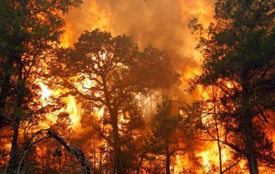 Лісові пожежі можуть поширити чорнобильську радіацію - вчені