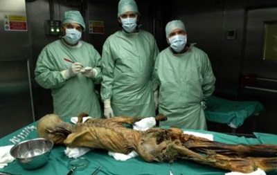 В жилом доме в Буэнос-Айресе нашли мумию женщины