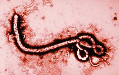 Смертельно небезпечна лихоманка Ебола перекинулася на Гану