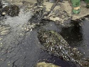 Масляное пятно от аварии на Саяно-Шушенской ГЭС уничтожило 400 тонн форели