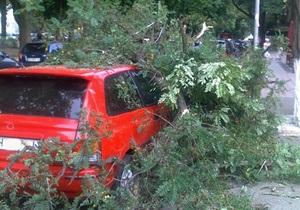 Ураган в Одессе: поваленные деревья заблокировали движение автомобилей, троллейбусов и трамваев
