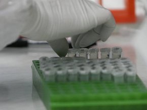 Ученые из Черновцов заявили о новом штамме гриппа и призвали МОЗ изменить методы лечения
