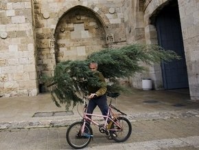 Швеция предлагает использовать новогодние елки как топливо