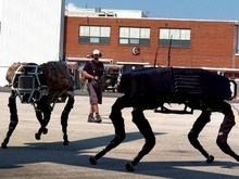 Американцы создали огромную собаку-робота