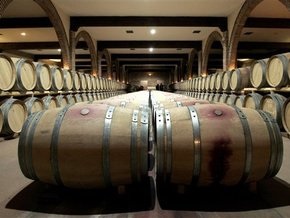 Производство молдавского вина в I квартале сократилось на треть