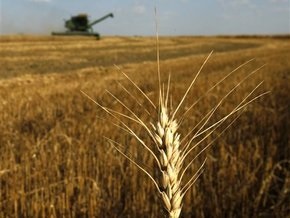 В Луганской области пожар уничтожил 25 га пшеницы