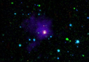 Американские астрономы обнаружили самую молодую звезду