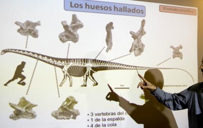 В Аргентине найдены кости самого большого динозавра в мире