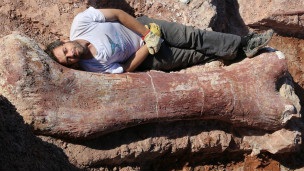 В Аргентині знайдені кістки "найбільшого ящура" у світі