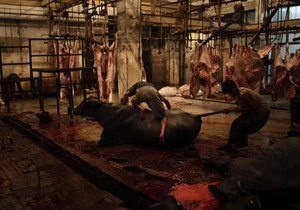 Украина подготовит новый список мясомолочных предприятий для инспектирования Таможенным союзом