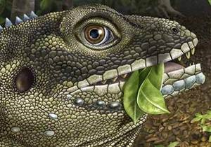 Новости науки: Палеонтологи назвали гигантскую древнюю ящерицу в честь Джима Моррисона