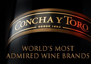 Сомелье самого уважаемого в мире винного бренда раскрыл секрет успеха чилийской винодельни