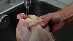 Вчені: не варто мити сиру курятину