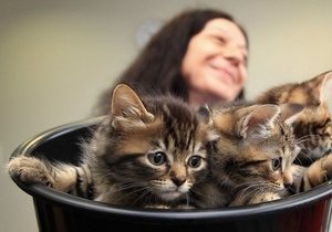 В поезде, следовавшем из Казахстана в Россию, обнаружили мешок контрабандных кошек