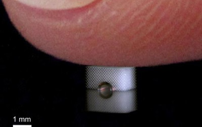 Німецькі вчені придумали плащ-невидимку для пальців