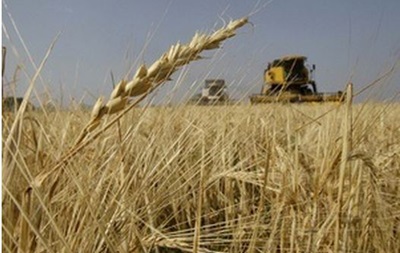 Зернових цього року зберуть на 12% менше