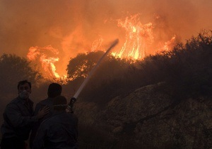 СМИ: В Израиле сгорели четыре миллиона деревьев