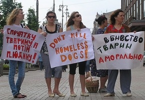 акція \ СТОП ЗООЗИДУ у Києві\ 