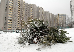 Вчера из Киева вывезли 15,5 тыс тонн снега